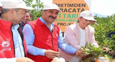 2023 yılı narenciye ihracatında hedef 1 milyar doları aşmak