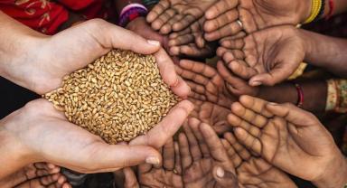 BM: 2030 itibarıyla aşırı yoksullukla mücadele edenlerin sayısı hala 575 milyon olacak