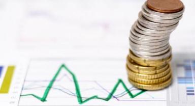 Bütçe uygulama sonuçları (1)