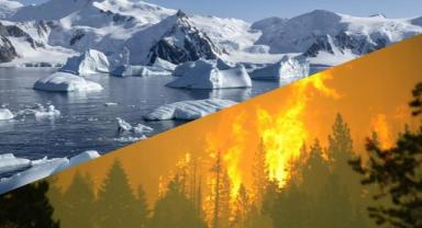 Buzullardaki erime dolaylı olarak orman yangınlarını da artırıyor