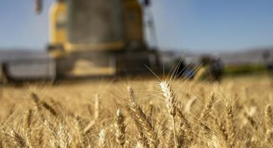 Çiftçilere yaklaşık 96,1 milyon lira tarımsal destek ödemesi bugün yapılacak