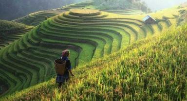 Çin’in tarım dış ticaret hacmi, yılın ilk yarısında 171 milyar doları geçti