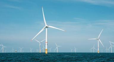 Deniz üstü rüzgar enerjisi saha geliştirme çalışmaları kapsamında çevresel analiz yapılacak