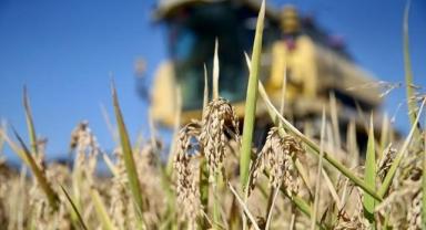 Deprem bölgesindeki