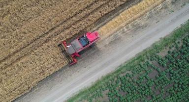 Devlet destekli tarım sigortalarında toplam sigorta bedeli 2022'de yıllık yüzde 138,1 arttı