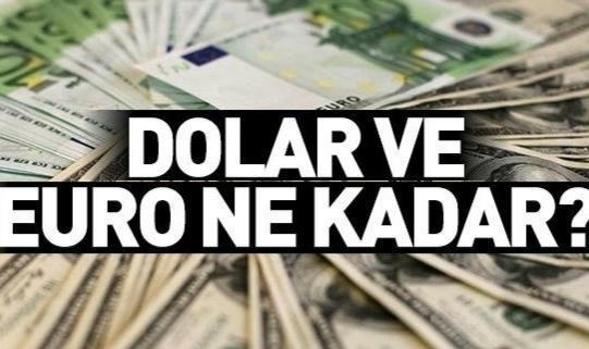 Döviz kurları