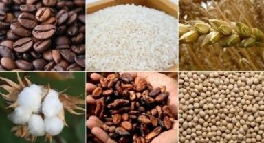 Emtia piyasasında geçen hafta sert dalgalanmalar öne çıktı