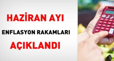 Haziranda fiyatı en fazla artan ürün