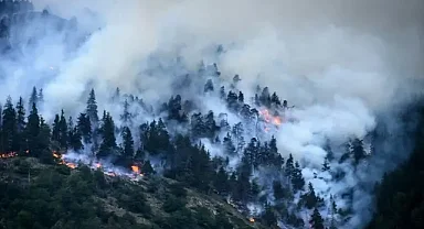 İsviçre'de üç gündür devam eden orman yangınını söndürme çalışmaları sürüyor