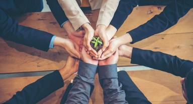 Schneider Electric, ecoDrone'lar aracılığıyla tohum toplarını doğa ile buluşturuyor