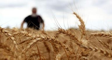 Tahıl koridoru görüşmelerinde kritik dönem