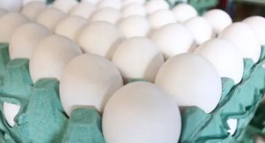 Tarım ve Orman Bakanlığı, Tayvan'a ihraç edilen yumurtalara ilişkin iddialar üzerine inceleme başlattı