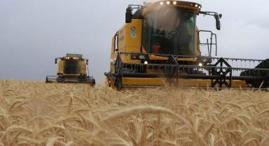 Tarımsal girdi fiyat endeksi mayısta aylık bazda yüzde 0,26, yıllık yüzde 33,22 arttı