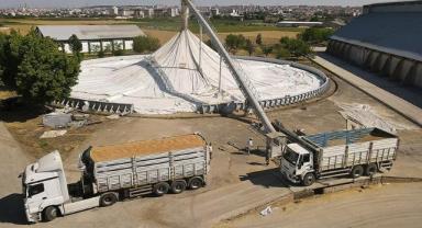 TMO'nun günlük hububat alım kapasitesi 160 bin tona ulaştı