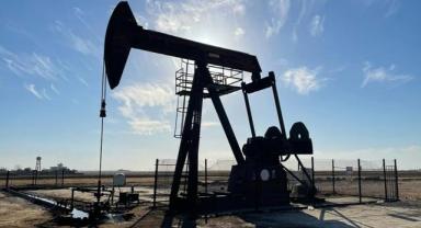 TPAO'nun iki petrol arama ruhsatının süresi uzatıldı