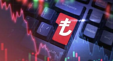 Yatırım gurusu Marc Faber, Türkiye'ye ilişkin iyimser