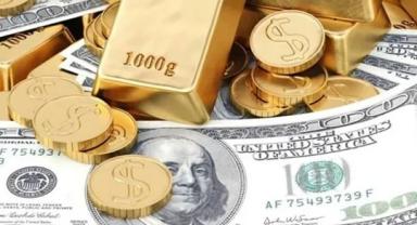 Yatırımcı rehberi (1)