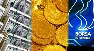 Yatırımcı rehberi (3)