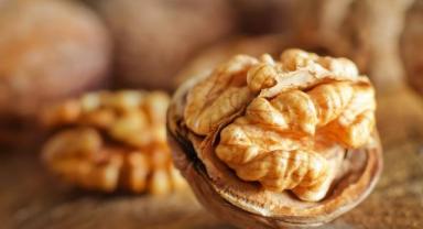 Yerli cevizde verimi artırmak için iş birliği çok önemli