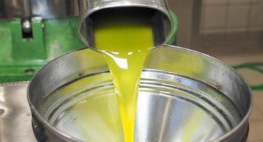 Zeytinyağı ihracatında prim kesintisi