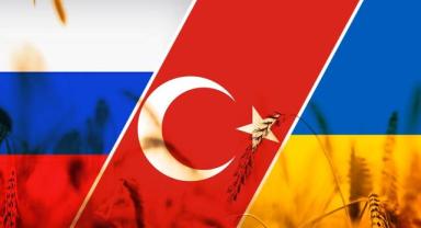 AB: Rusya'nın tahıl anlaşmasına dönmesi için Türkiye ve BM'yi desteklemeyi sürdüreceğiz