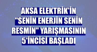 Aksa Elektrik'in