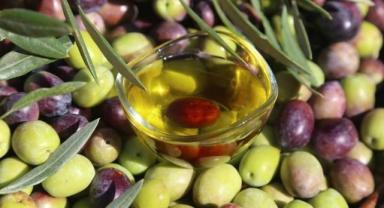 Aşırı sıcaklar dünya zeytinyağı üretim tahminlerini 5 yılın en düşük seviyelerine çekti