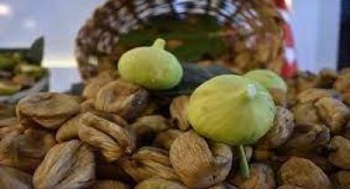 Aydın Ticaret Borsasına yılın ilk kuru incirleri ulaştı