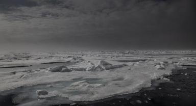 Bir yılda Kuzey Kutbu'nda İstanbul'un 3'te biri büyüklüğünde deniz buzu eridi