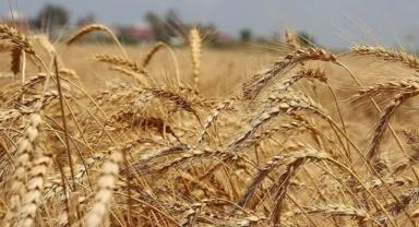 Çanakkale Ticaret Borsası