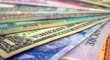 Döviz Kurları 29.08.2023