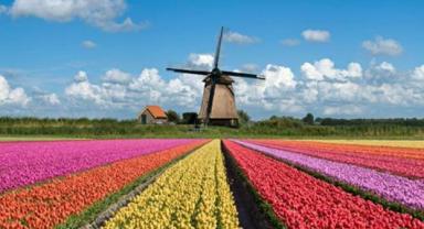 Hollanda ekonomisi resesyona girdi