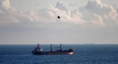 Karadeniz Tahıl Girişimi'nin devamı, gıdaya erişim ve fiyat istikrarı için kritik önemde