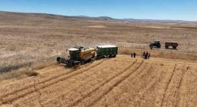 Kayseri'de TAKE Projesi kapsamında yazlık buğday hasadı yapıldı