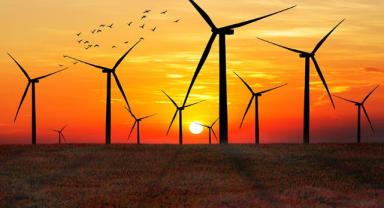 Rüzgar enerjisiyle çalışan yük gemisi yelken açtı