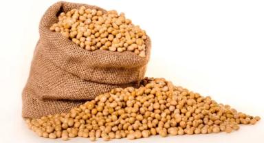 Soya fasülyesi fiyatlarına kuraklık dopingi