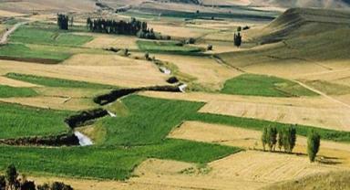 Tarım arazilerinin yüzde 85'inde fındık ekili Düzce'de hasat sürüyor