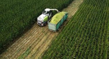 Tarım ÜFE temmuzda aylık bazda yüzde 8,03, yıllık yüzde 62,48 arttı