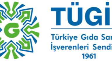 TÜGİS Bilim Kurulu Üyesi Prof. Dr. Artık: 