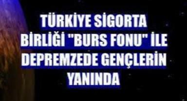 Türkiye Sigorta Birliği