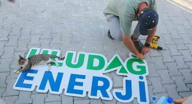 Uludağ Enerji, Hatay'da depremden etkilenen sokak hayvanlarını unutmadı