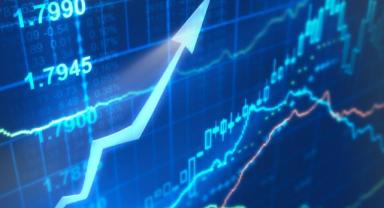 Yatırımcı rehberi (1)