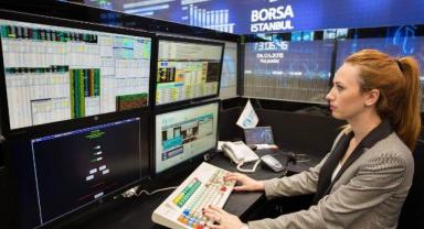 Yatırımcı rehberi (2)