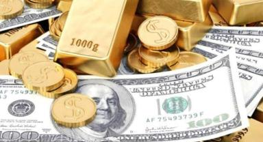 Yatırımcı rehberi (2)