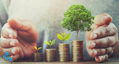 Yatırımcı rehberi (5)