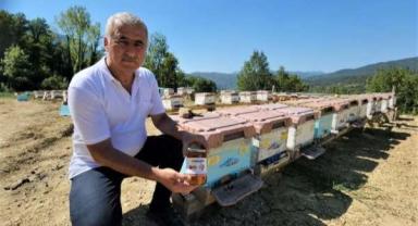 Yenice ormanlarında üretilen ıhlamur balı coğrafi işaret aldı