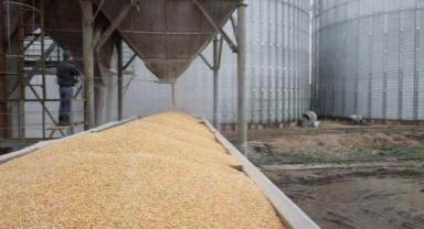 Almanya Başbakanı, Rusya'nın tahıl girişimi konusunda öne sürdüğü argümanları 