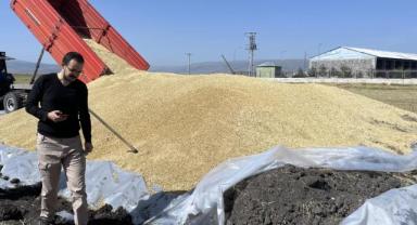 Ardahan'da TMO hububat alımına başladı