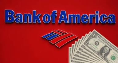 BofA'dan dolar/TL'de 30 öngörüsü