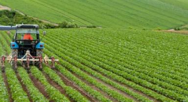 Çiftçilere bu yıl için ödenecek tarımsal destekler belli oldu (1)